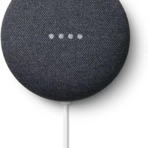 Google Nest Mini