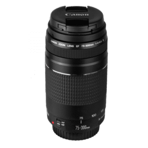 Canon EF 75-300mm f/4-5.6 III Telephoto Zoom Lens for Canon SLR Cameras