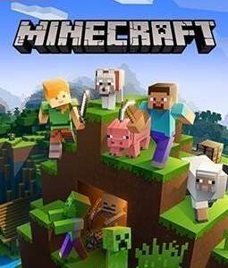 Minecraft for Nintendo Switch