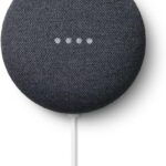 Google Nest Mini