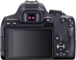 Canon EOS 850D + EF-S 18-135mm - Image 4