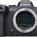 Canon EOS R6 Mirrorless Digital Camera with 24-105mm STM