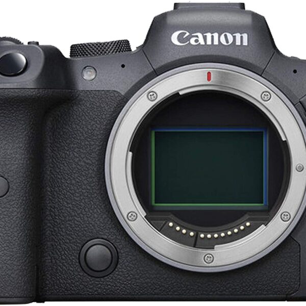 Canon EOS R6 Mirrorless Digital Camera with 24-105mm STM
